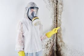 Why You Should Choose Our Mold Remediation Services in Warrensville Heights, OH